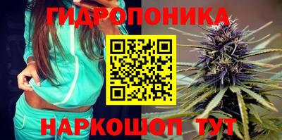 ПСИЛОЦИБИНОВЫЕ ГРИБЫ Кулебаки