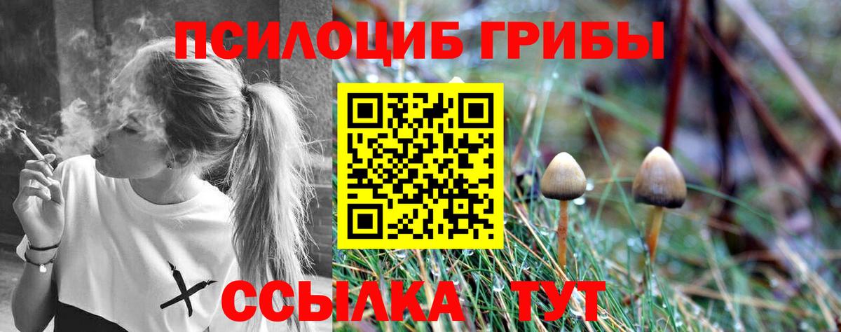 Галлюциногенные грибы Psilocybe  Вход с VPN  Каменск-Уральский 